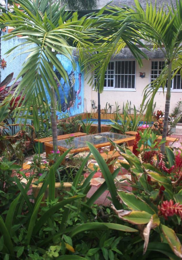 La Casona Art & Recycling * Cozumel